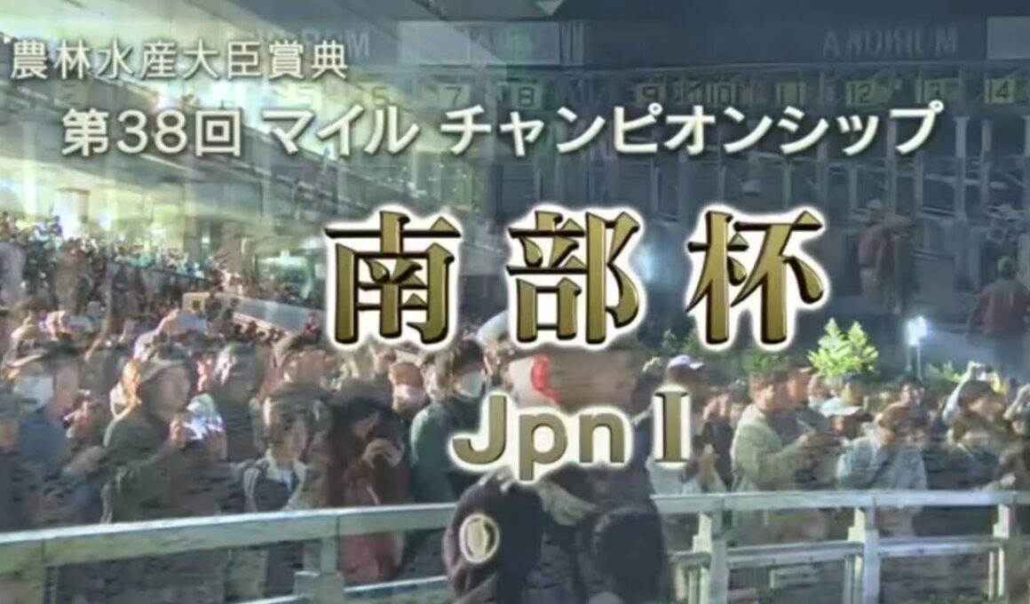 2025/10/13 盛岡競馬12R 第38回マイルチャンピオンシップ南部杯(Jpn1)【武豊サンライズジパング、昨年2着ペプチドナイル、初ダートシックスペンス、JBC覇者ウィルソンテソーロら出走】
