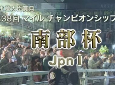 2025/10/13 盛岡競馬12R 第38回マイルチャンピオンシップ南部杯(Jpn1)【武豊サンライズジパング、昨年2着ペプチドナイル、初ダートシックスペンス、JBC覇者ウィルソンテソーロら出走】