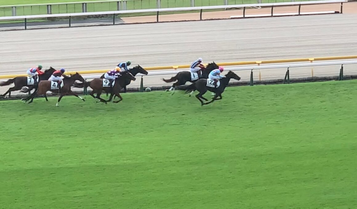 【レースフル】東京競馬場5R新馬戦 芝2,000ｍ イクイノックスの全妹イクシード完勝 2025.10.12※