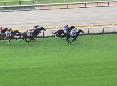 【レースフル】東京競馬場5R新馬戦 芝2,000ｍ イクイノックスの全妹イクシード完勝 2025.10.12※