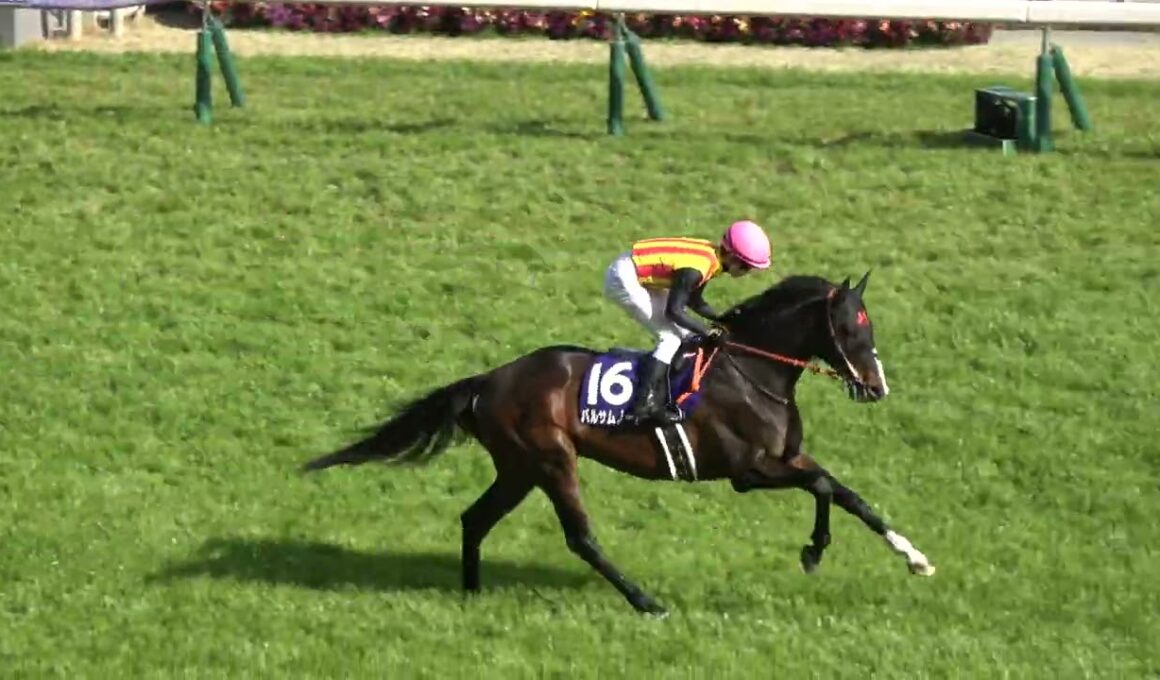 【高松宮記念2025】本馬場入場 現地映像  サトノレーヴ