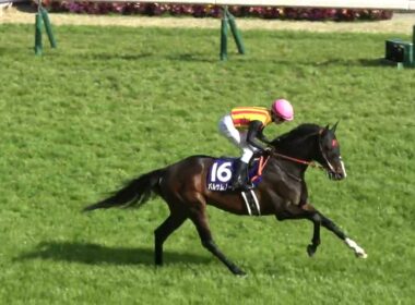 【高松宮記念2025】本馬場入場 現地映像  サトノレーヴ