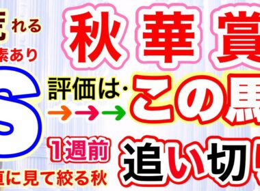 穴党専科❣️【秋華賞2025】しーいちの追い切り評価、荒れる要素はありそうも素直に馬の雰囲気を見て絞っていきます！