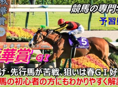 【秋華賞2025】予習動画 狙いは春のGⅠで好走した馬達 競馬の初心者の方にもわかりやすく解説