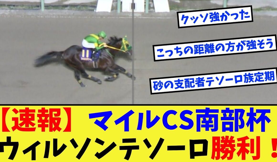 【競馬】ウィルソンテソーロ、マイルチャンピオンシップ南部杯制覇！！！に対する反応集【競馬の反応集】