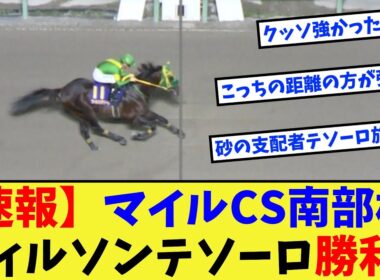 【競馬】ウィルソンテソーロ、マイルチャンピオンシップ南部杯制覇！！！に対する反応集【競馬の反応集】