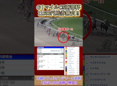 マイルCS南部杯に11500円勝負してみた！  #競馬  #馬券勝負  #南部杯  #ウィルソンテソーロ   #shorts