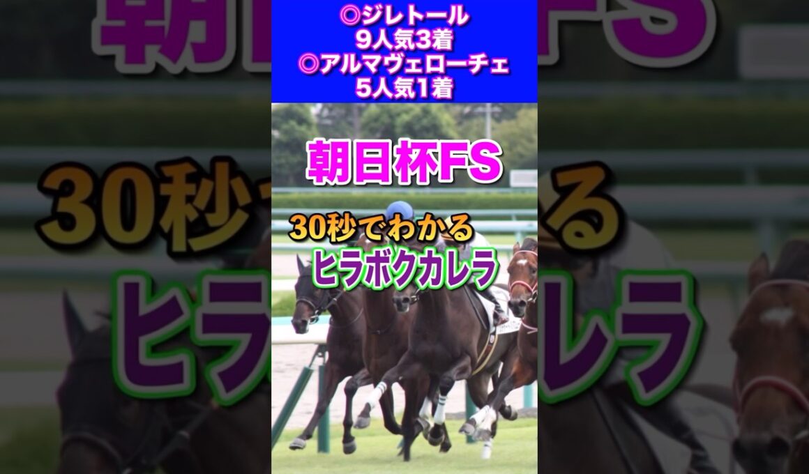 【朝日杯FS2024】30秒でわかるヒラボクカレラ