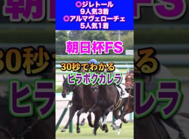 【朝日杯FS2024】30秒でわかるヒラボクカレラ