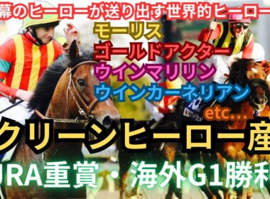【競馬】スクリーンヒーロー産駒「銀幕のヒーローが送り出す、世界的ヒーロー達」 全JRA重賞・海外G1勝利集 #競馬 #スクリーンヒーロー産駒 #モーリス #ウインマリリン #ウインカーネリアン