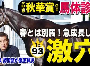 【秋華賞2025】中村均元調教師が馬体診断ベスト５を発表　カムニャックは５位…抽選馬にも注目馬がいる！《東スポ競馬》