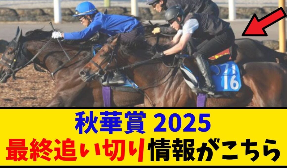 【秋華賞】「最終追い切り情報はこちら…」に対するみんなの反応【反応集】