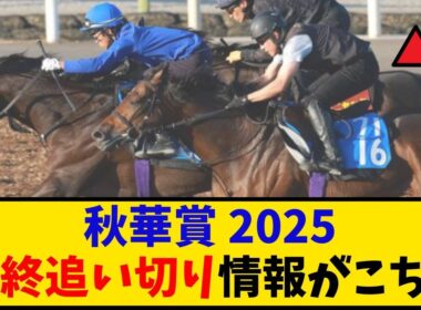 【秋華賞】「最終追い切り情報はこちら…」に対するみんなの反応【反応集】
