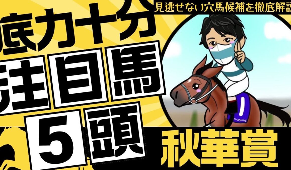 【秋華賞2025】「頼むから8枠とかやめてくれ！」今回は期待ではなく”結果”を求めたい！見逃せない穴馬候補を解説します
