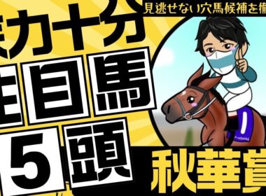 【秋華賞2025】「頼むから8枠とかやめてくれ！」今回は期待ではなく”結果”を求めたい！見逃せない穴馬候補を解説します