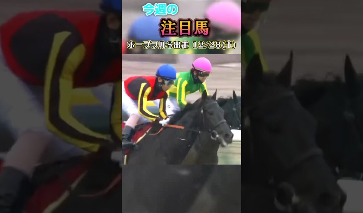 今週は土曜にホープフルステークス、日曜に東京大賞典があります!#ホープフルステークス 東京大賞典井競馬#ホープフルs2024#競馬 #競馬予想 #馬 #shorts