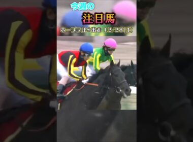 今週は土曜にホープフルステークス、日曜に東京大賞典があります!#ホープフルステークス 東京大賞典井競馬#ホープフルs2024#競馬 #競馬予想 #馬 #shorts