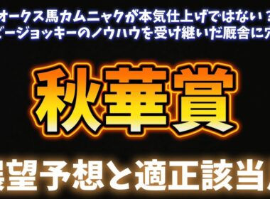 秋華賞展望予想