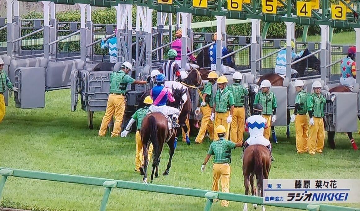 中山1レース障害未勝利 フェーレンベルク