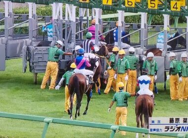 中山1レース障害未勝利 フェーレンベルク