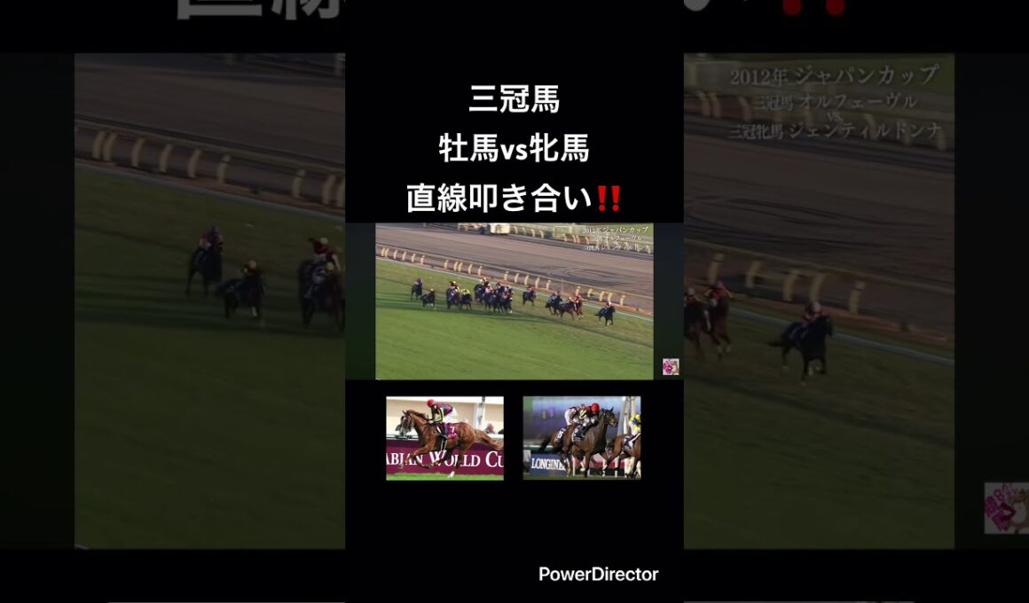 三冠馬　叩き合い‼️  #競馬 #ジャパンカップ                 #天皇賞 #有馬記念 #秋華賞
