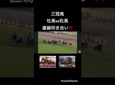 三冠馬　叩き合い‼️  #競馬 #ジャパンカップ                 #天皇賞 #有馬記念 #秋華賞