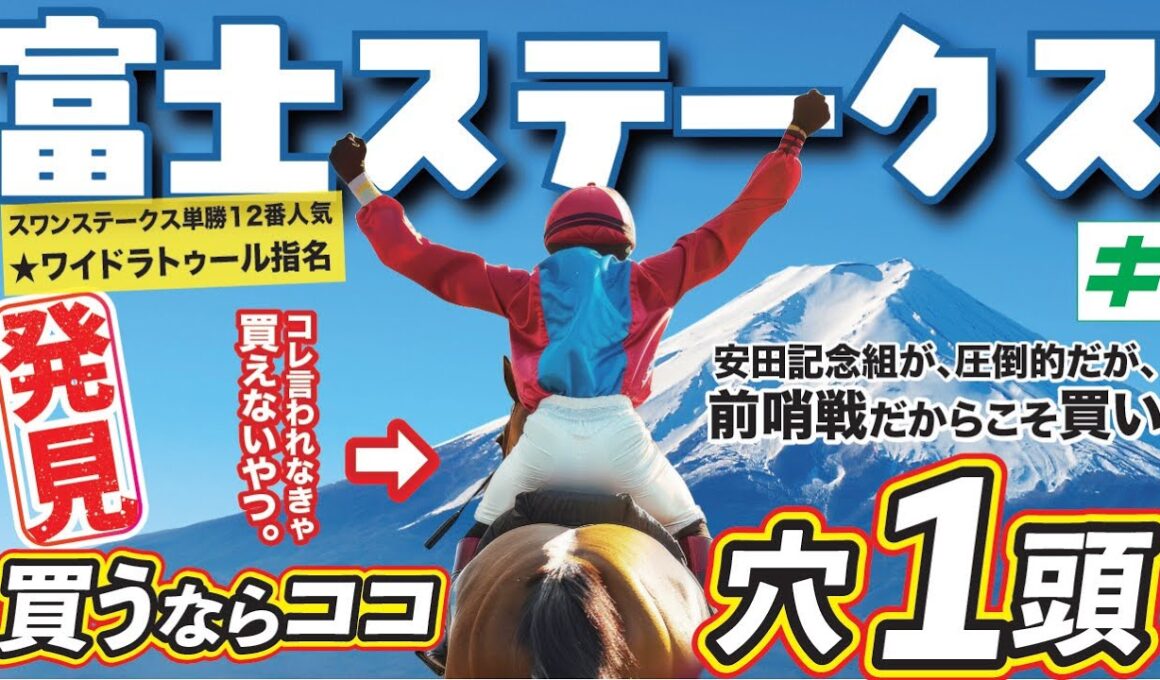 富士ステークス 2025 【穴馬/予想】ジャンタルマンタルなど安田記念組に待ったをかけるのは！？単勝でも勝負したい「自信の穴馬」！