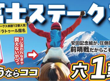 富士ステークス 2025 【穴馬/予想】ジャンタルマンタルなど安田記念組に待ったをかけるのは！？単勝でも勝負したい「自信の穴馬」！