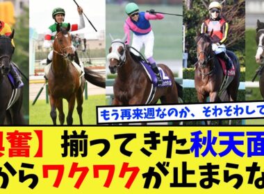 【競馬】【頂上決戦】天皇賞秋、大分面子が出揃ってきて最高にワクワクする件に対する反応集【競馬の反応集】