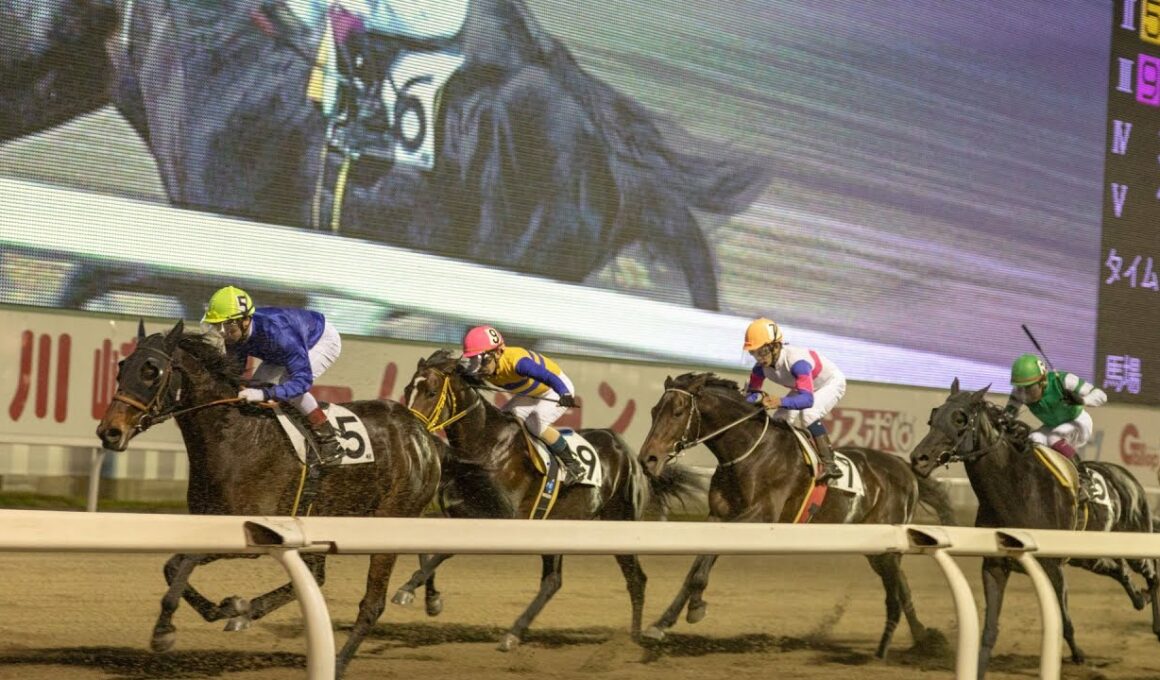 第38回 マイルチャンピオンシップ南部杯【競馬】