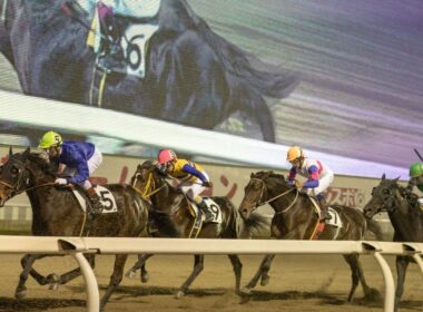 第38回 マイルチャンピオンシップ南部杯【競馬】