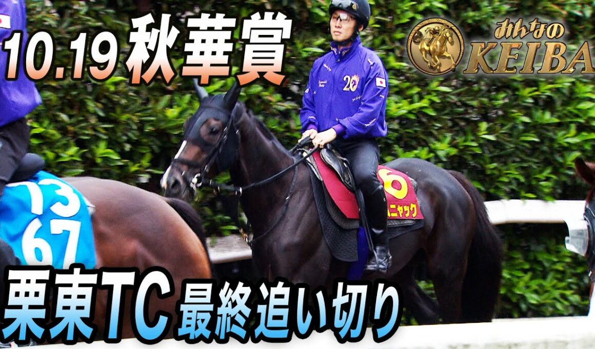 【2025 秋華賞・GⅠ】牝馬3冠最終戦 最終追い切り