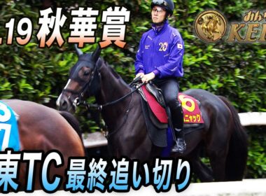 【2025 秋華賞・GⅠ】牝馬3冠最終戦 最終追い切り