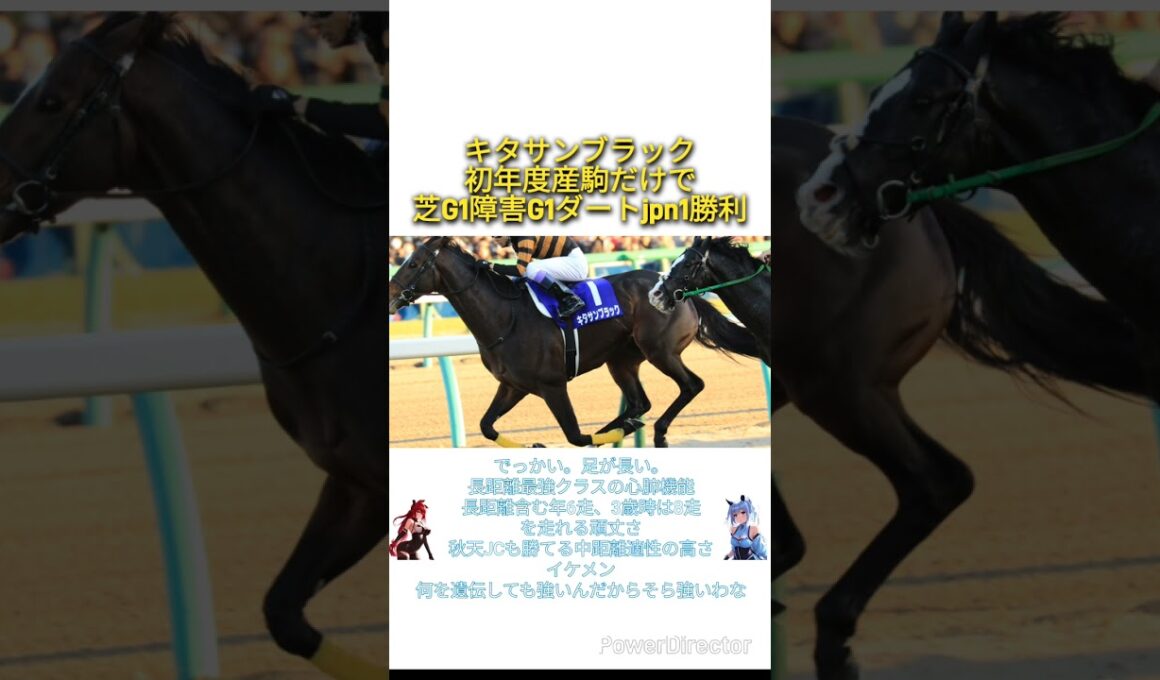「中山グランドジャンプ2025」キタサンブラックが初年度産駒だけで芝G1障害G1ダートjpn1勝利　#競馬