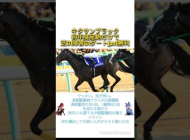 「中山グランドジャンプ2025」キタサンブラックが初年度産駒だけで芝G1障害G1ダートjpn1勝利　#競馬