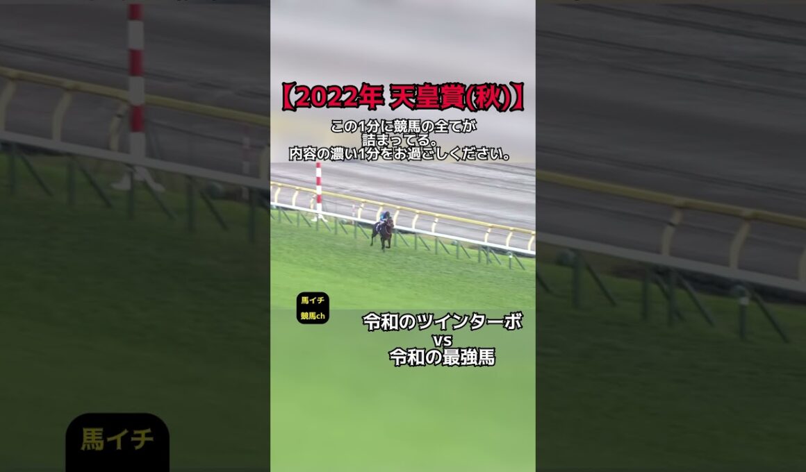 【2022年 天皇賞(秋)】競馬好きから競馬を知らない人まで全員が楽しめる1分。 #競馬 #イクイノックス #天皇賞秋 #馬イチ