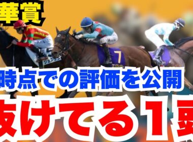 【秋華賞】前走内容から現時点での高評価馬と当日のオッズ次第では期待してる人気薄を公開！