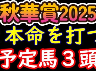 秋華賞2025本命候補３頭！上位人気2頭カムニャックとエンブロイダリーは強いものの本命を打つにはどちらか思い切って切るのも１つの手段！浮上してくる馬を含め現時点で本命に指名したい馬を３頭ピックアップ！