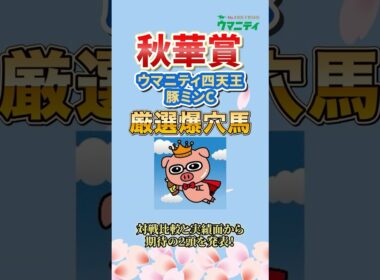 【秋華賞2025】プロ予想家直撃取材！トップ予想家・豚ミンCプロの狙い馬は？！ #秋華賞 #競馬予想 #shorts