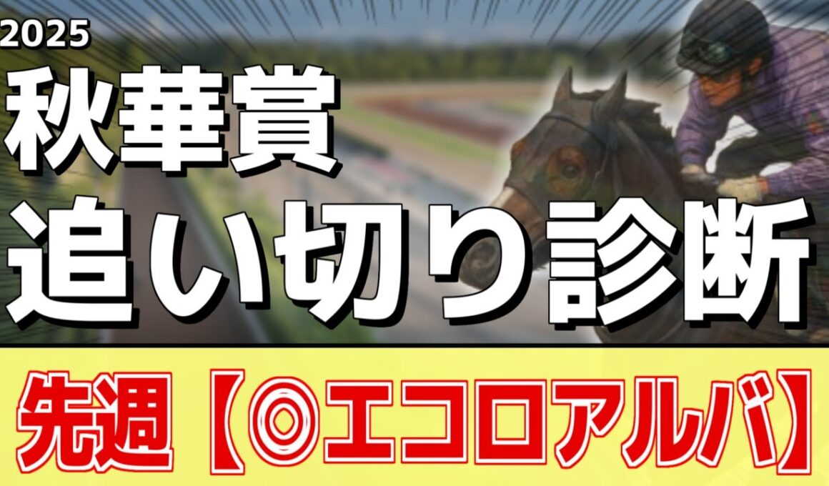 追い切り徹底解説！【秋華賞2025】カムニャック、エンブロイダリーなどの状態はどうか？調教S評価は2頭！