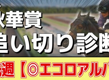 追い切り徹底解説！【秋華賞2025】カムニャック、エンブロイダリーなどの状態はどうか？調教S評価は2頭！