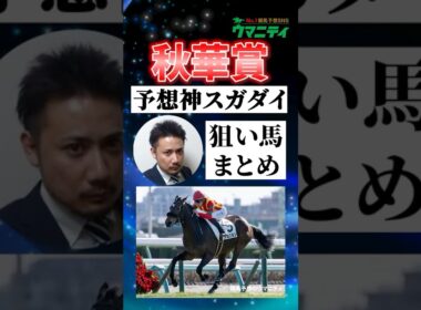 【秋華賞2025】予想神スガダイの注目馬まとめ #秋華賞2025 #秋華賞 #競馬予想
