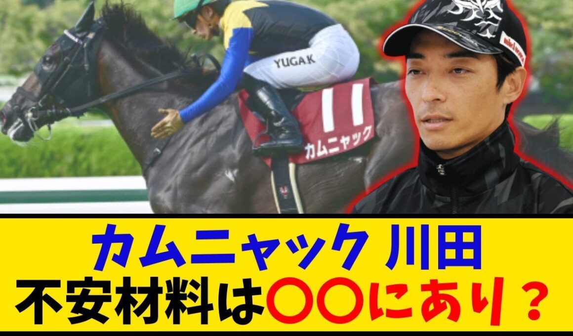 【秋華賞】「カムニャック不安説 問題は〇〇だけだろ？」に対するみんなの反応【反応集】