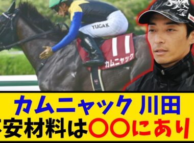 【秋華賞】「カムニャック不安説 問題は〇〇だけだろ？」に対するみんなの反応【反応集】