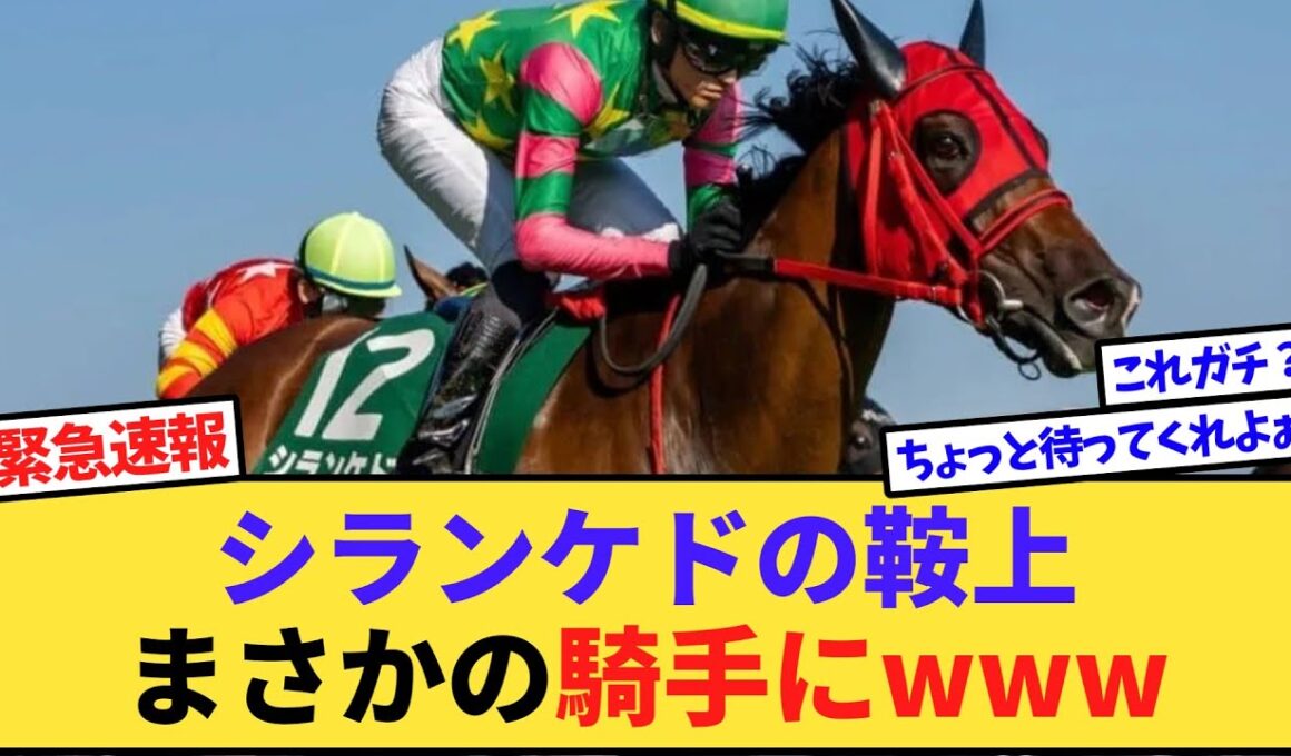 【速報】シランケド、まさかの騎手とのコンビで天皇賞・秋へwww