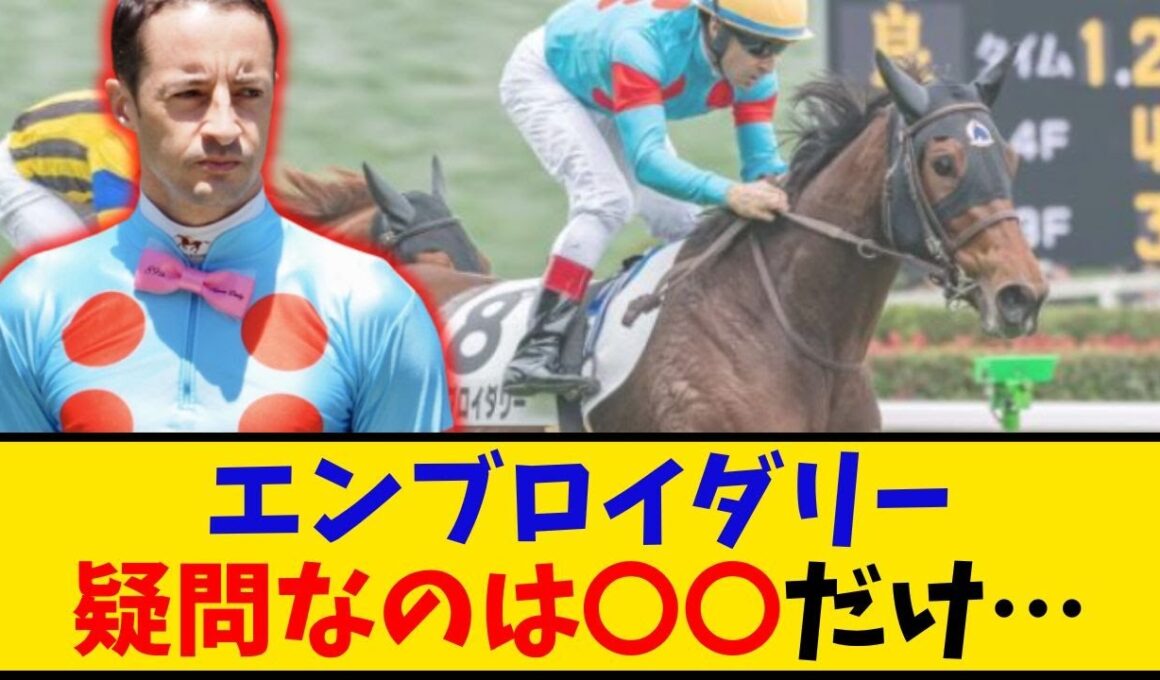 【秋華賞】「エンブロイダリー ルメール騎手 疑問なのは○○だけって大丈夫？」に対するみんなの反応【反応集】