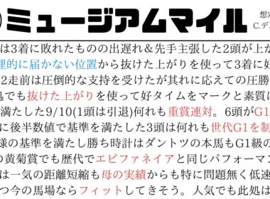 朝日杯フューチュリティステークス2024【1週前見解】素質馬揃いも評価したいのはこの馬‼️