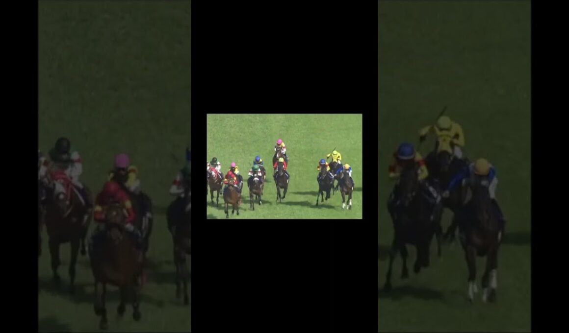 大阪杯　参観するの止めてもらって良いですか