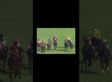 大阪杯　参観するの止めてもらって良いですか