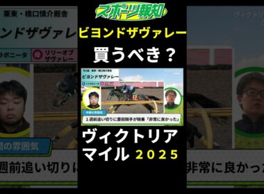 【ヴィクトリアマイル2025】ビヨンドザヴァレーは買うべき？戦歴、特長、力関係など解説